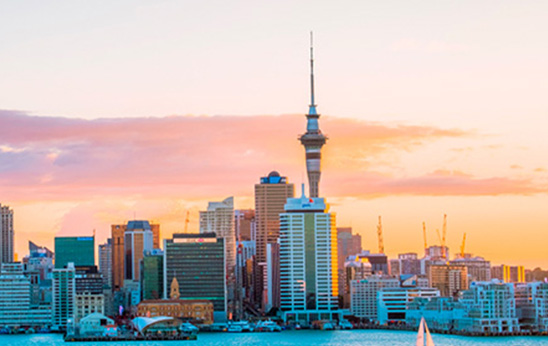 Study in New Zealand